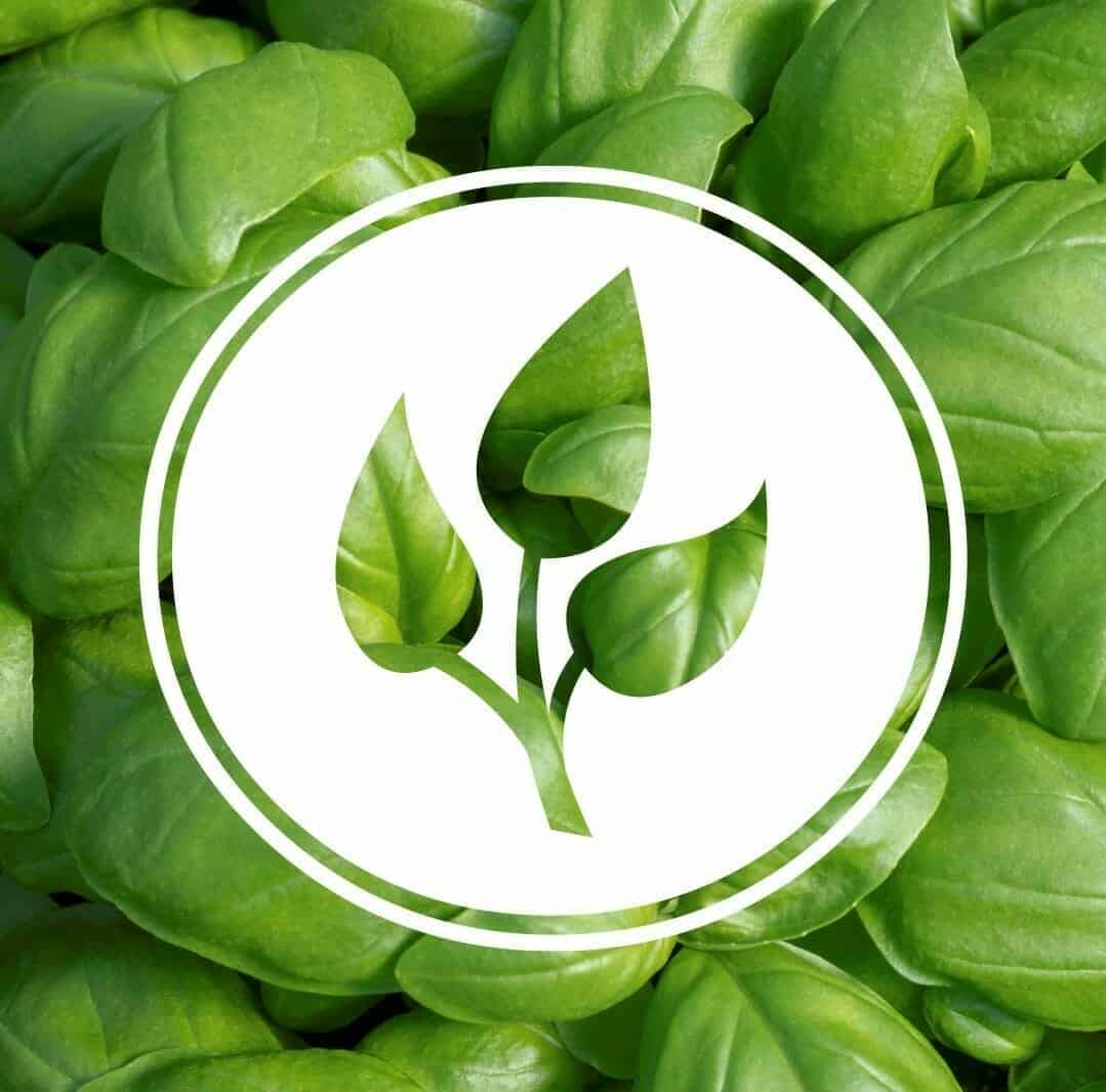 Food Ladder Green Leaf Logo